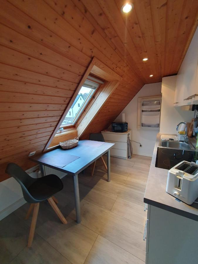 Ferienwohnung Haenel Antonshohe Extérieur photo