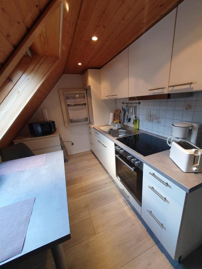 Ferienwohnung Haenel Antonshohe Extérieur photo